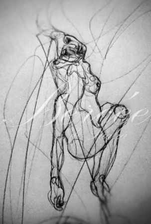Galerie
